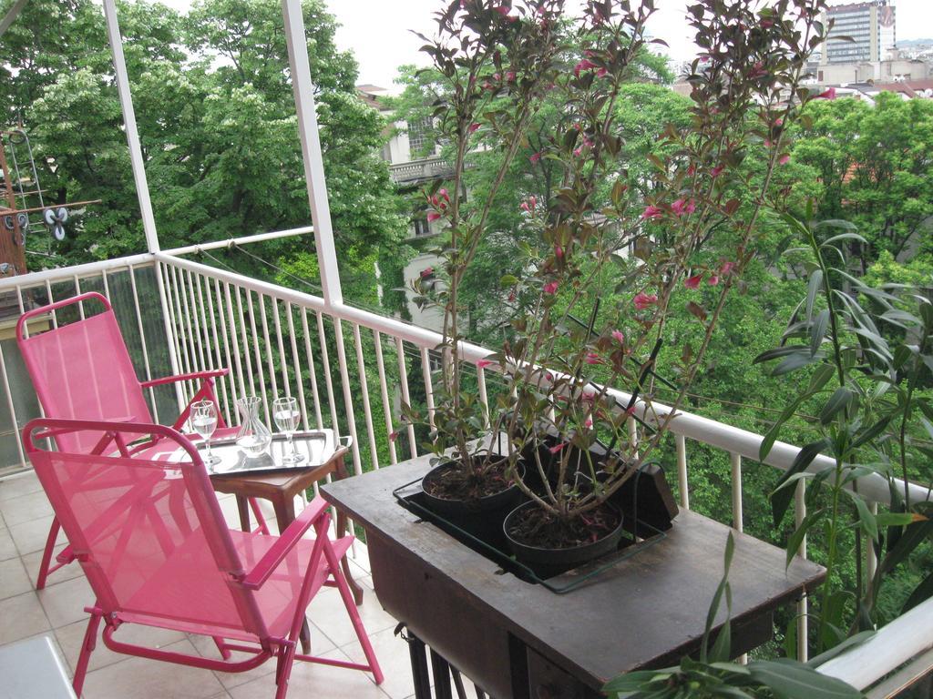 Gajba Apartment 贝尔格莱德 外观 照片